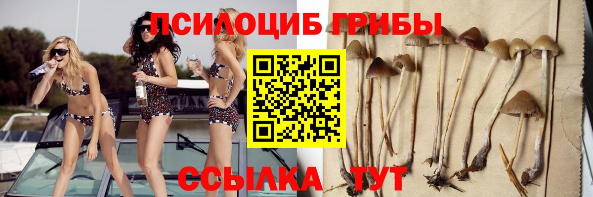 Лангепас  Псилоцибиновые грибы GOLDEN TEACHER  Вход с VPN 